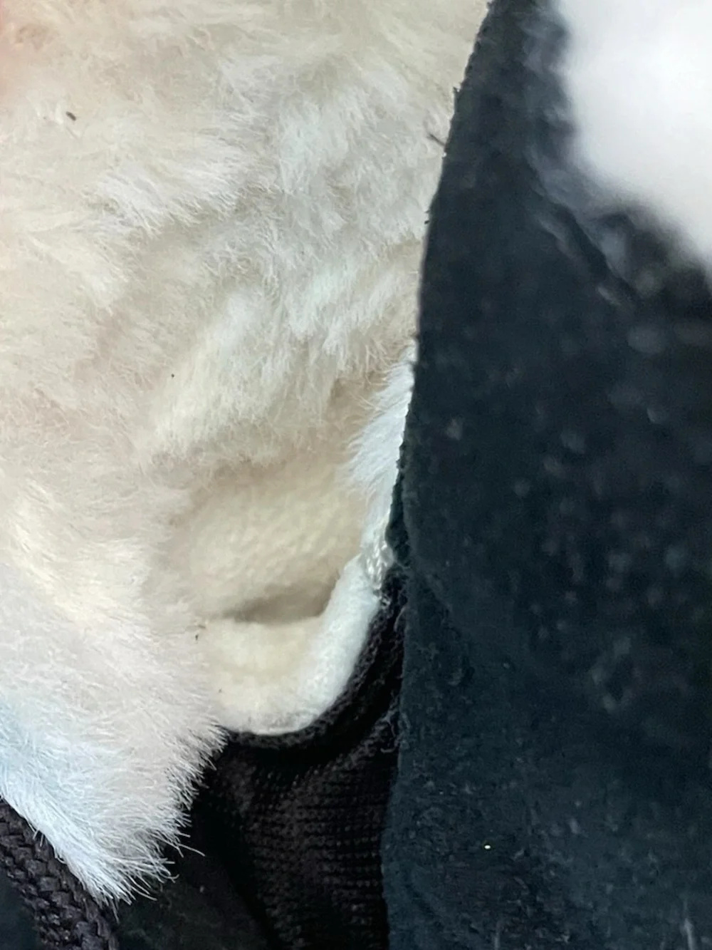 Sorel Tivoli IV Black Suede Waterproof Fur Trim Lace Up Winter Ankle Boot 7 - Picture 14 of 16
